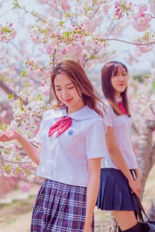 不灭的女神